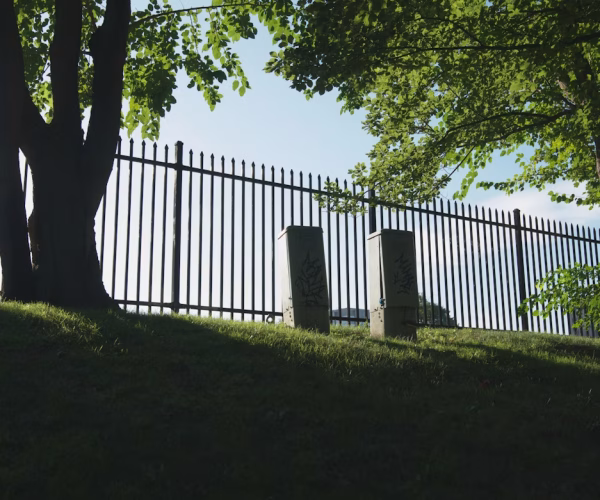 ornamental fence (black, 2 rail, finial)