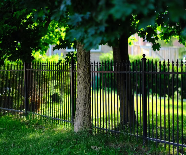 ornamental fence line (black, finial)